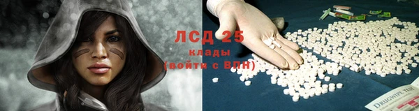 спайс Дмитров