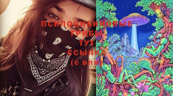 спайс Дмитров