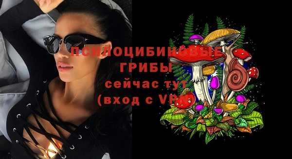 ALPHA PVP Дмитриев