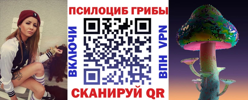 Купить  Балей  Псилоцибиновые грибы Psilocybe 